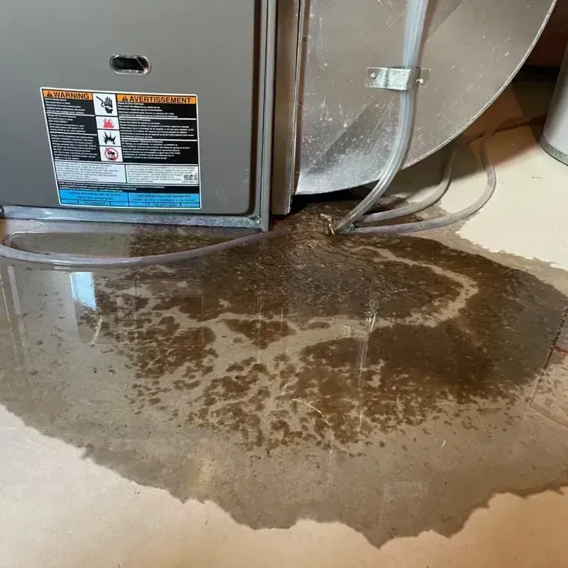 Appliance Leak Cleanup in Cool Valley, MO